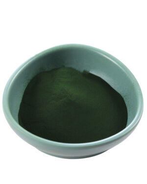 Chlorella Powder