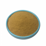 Ginkgo-Biloba.png