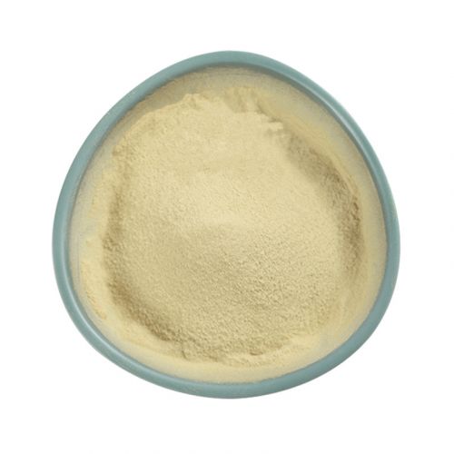 Freeze Dried Papaya Powder