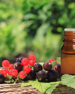 Black Currant oil