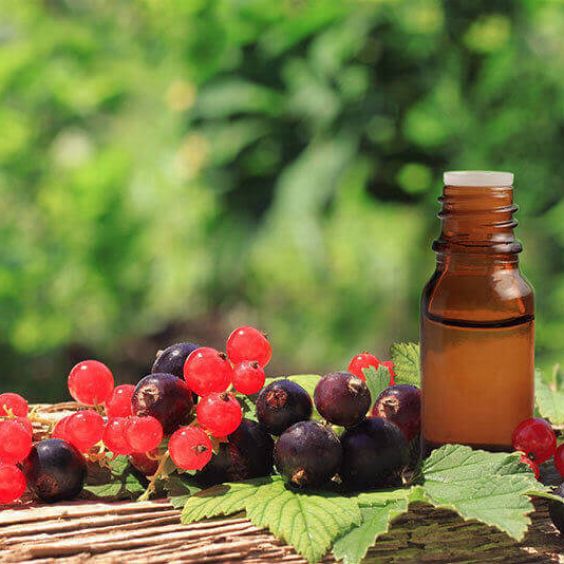 Black Currant oil